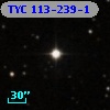 TYC  113-239-1