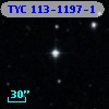 TYC  113-1197-1