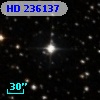 HD 236137