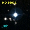 HD  36011