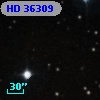 HD  36309