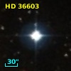 HD  36603