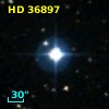 HD  36897