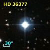 HD  36377