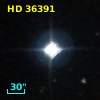 HD  36391