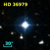 HD  36979