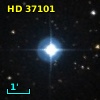 HD  37101