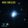 HD  36133
