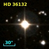 HD  36132