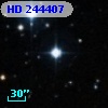 HD 244407