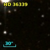 HD  36339