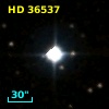 HD  36537