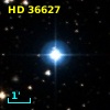 HD  36627
