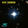 HD  36809