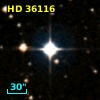 HD  36116