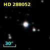 HD 288052