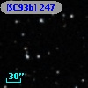 [SC93b] 247