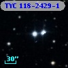 TYC  118-2429-1