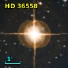 HD  36558