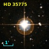 HD  35775