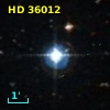 HD  36012