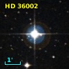 HD  36002
