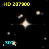 HD 287900
