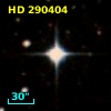 HD 290404