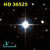 HD  36525