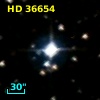 HD  36654