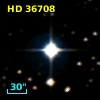 HD  36708