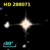 HD 288071