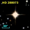 HD 288073