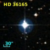 HD  36165