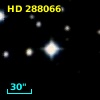 HD 288066