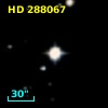 HD 288067