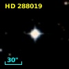 HD 288019