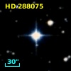 HD 288075