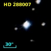 HD 288007