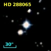 HD 288065