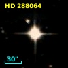 HD 288064