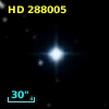 HD 288005