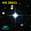 HD  36031