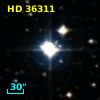 HD  36311