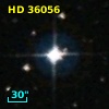 HD  36056