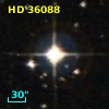 HD  36088