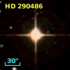 HD 290486