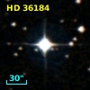 HD  36184