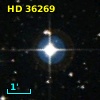 HD  36269