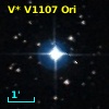 V* V1107 Ori